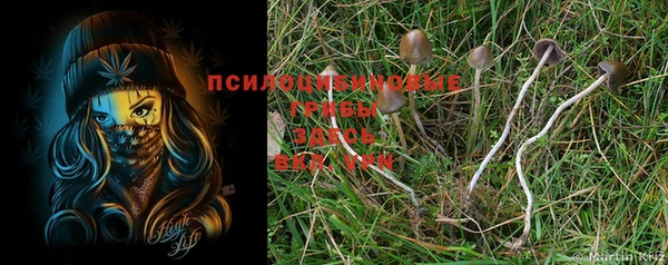 mdma Зеленодольск