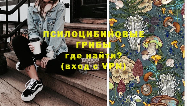 стаф Зеленокумск