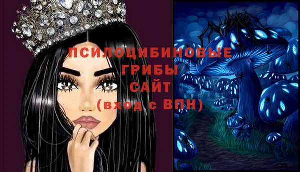 стаф Зеленокумск