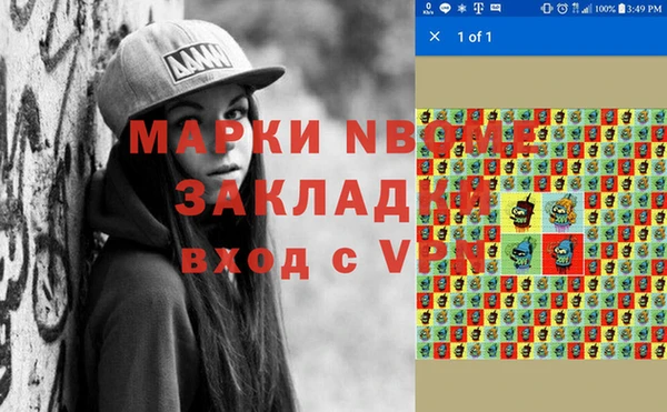 стаф Зеленокумск