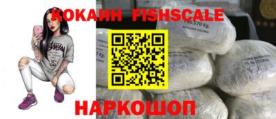 мдпв Жуковский