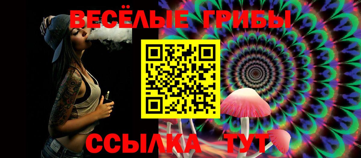 Пушкино  Галлюциногенные грибы ЛСД  где продают   Вход с VPN 